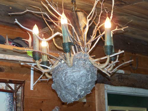 Bed Frames Rustic