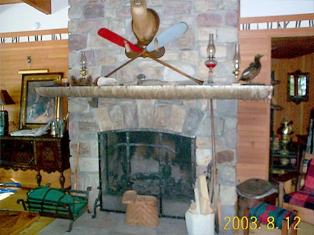 Rustic Banisters
