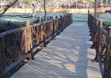 Custom Birch Bark Railings