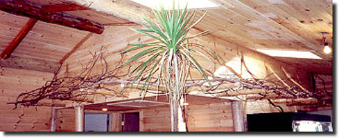 Construction, Railing, Bannister,FURNITURE, birch furniture,Interior Birch Designs, Construction, Railings, Bannisters, Furnishings, CONSTRUCTION, adirondack construction