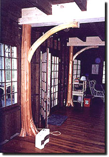 Construction, Railing, Bannister,FURNITURE, birch furniture,Interior Birch Designs, Construction, Railings, Bannisters, Furnishings, CONSTRUCTION, adirondack construction